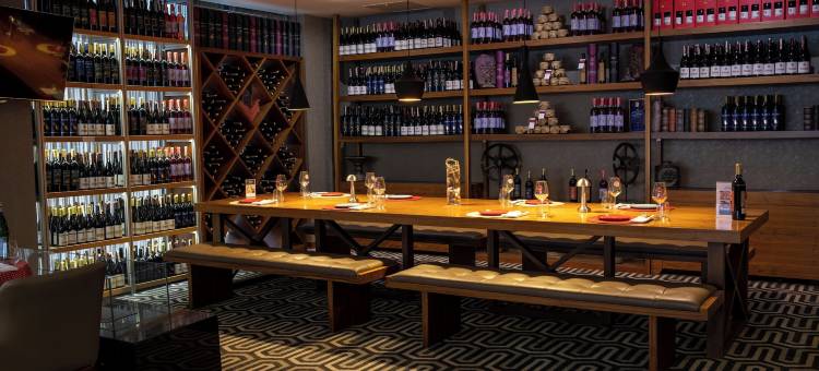 安卡拉海葵酒店(Anemon Kent Ankara Otel)图片