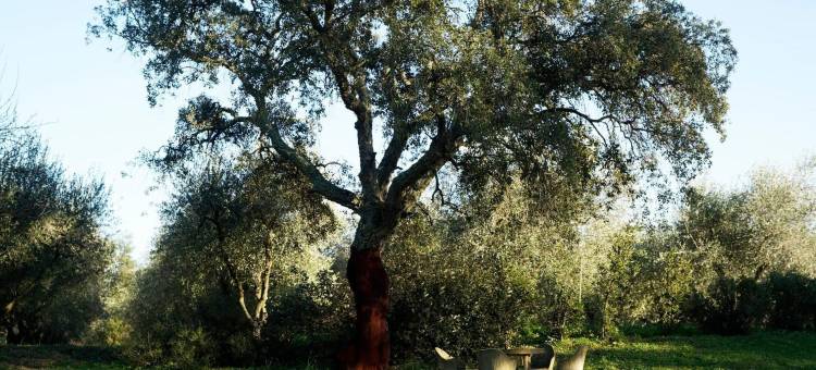 莫利诺黛拉沃尔塔酒店(Molino Della Volta)图片