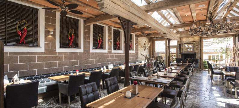 迈斯特老城酒店(Meiser Altstadt Hotel)图片