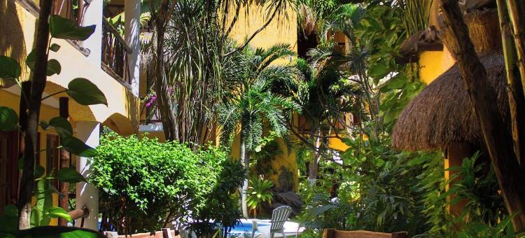 博斯克卡比尔第五大道酒店(Hotel Bosque Caribe, 5th Av. Zone)图片