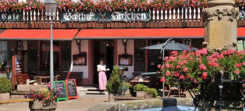 赫斯臣酒店(Hotel Hirschen)图片