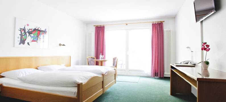 纽姆勒高萨湖酒店(Hotel-Gasthof Neumühle)图片