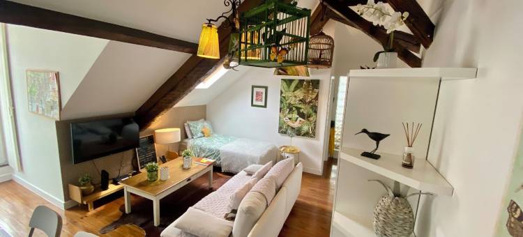 莫埃达街公寓-带夹层(Studios with Mezzanine Rua da Moeda)图片