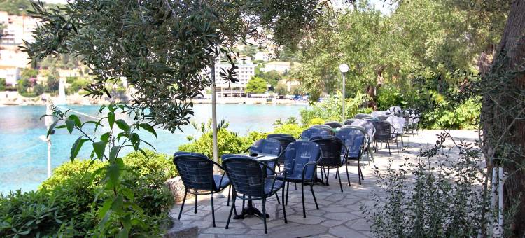 维斯酒店(Hotel Vis)图片