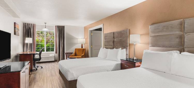 阿什利套房式旅馆(The Ashley Inn & Suites)图片