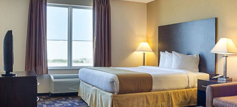 凯艺套房酒店(Quality Inn & Suites)图片