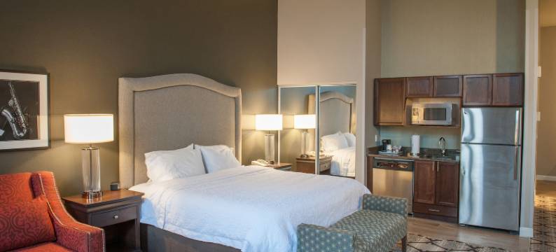 新奥尔良会议中心欢朋酒店及套房(Hampton Inn & Suites New Orleans-Convention Center)图片