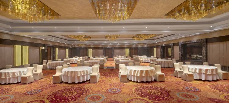 卡萨比德里NCR丽笙酒店(Radisson Blu Kaushambi Delhi NCR)图片