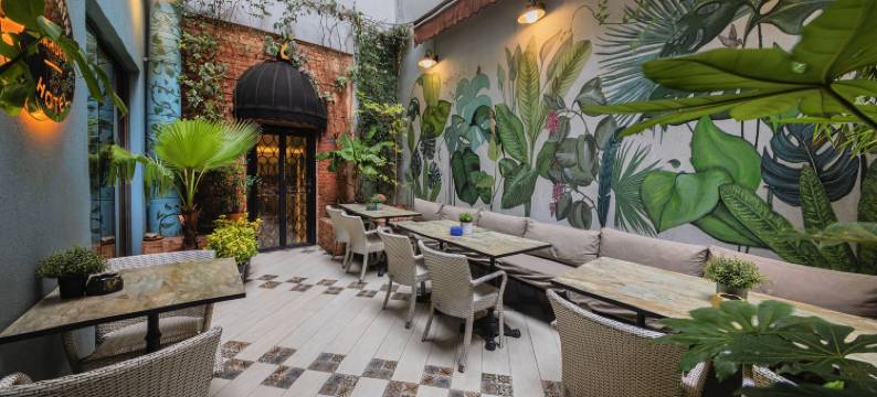 阿亚拉明豪华酒店(Ayramin Hotel Taksim)图片