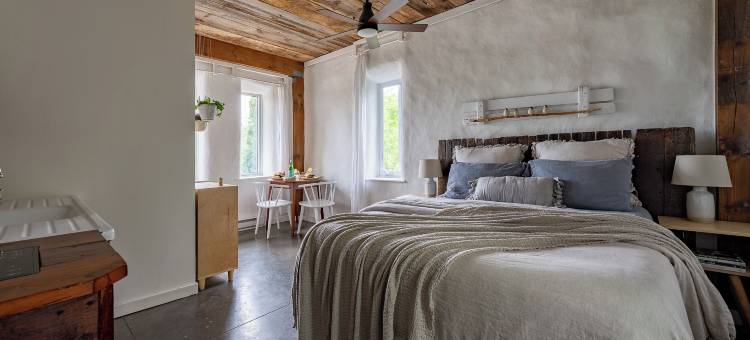 猫头鹰巢套房公寓(Owl's Nest Suites)图片