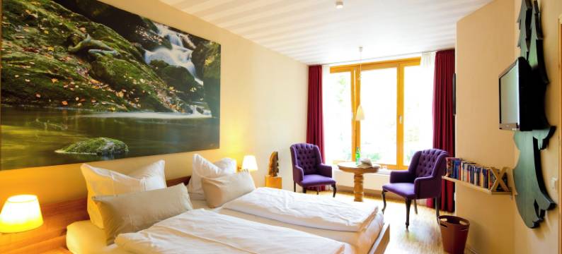 普琳布斯艾赫斯酒店(Plumbohms Echt-Harz-Hotel)图片