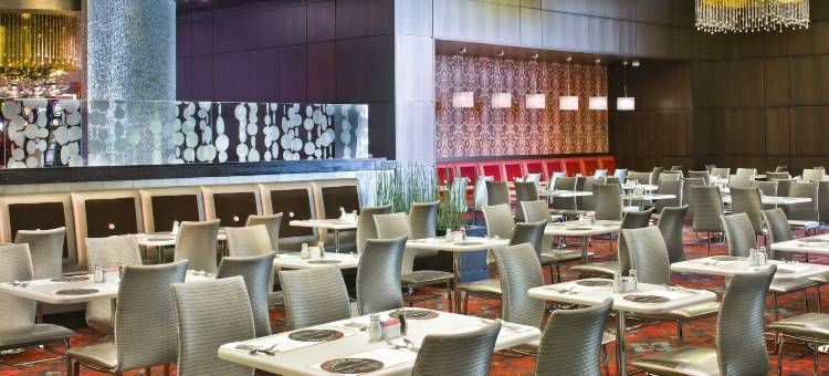 宫殿娱乐场度假村(Palace Casino Resort)图片