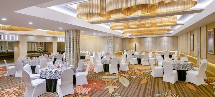 查漠丽笙丽怡酒店(Country Inn & Suites by Radisson Jammu)图片