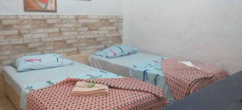 席尔瓦林肯卡洛斯旅馆(Meu Quarto No Rio de Janeiro)图片