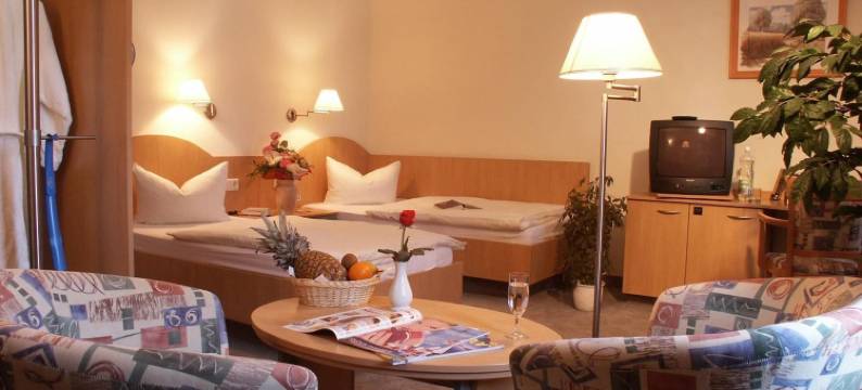 八德施乐马库尔酒店(Kurhotel Bad Schlema)图片