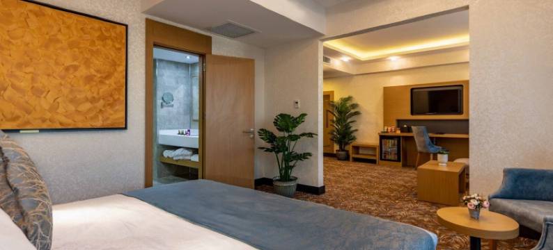 迪亚巴克尔安莫酒店(Anemon Kent Diyarbakır Otel)图片