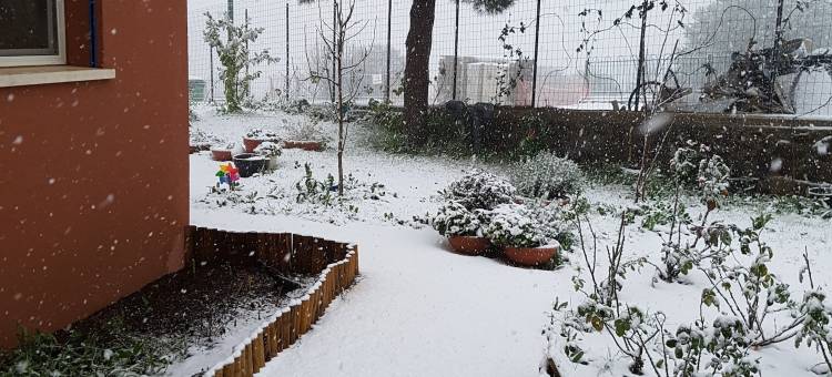 齐默席盖尔酒店(Zimmer Cigale)图片