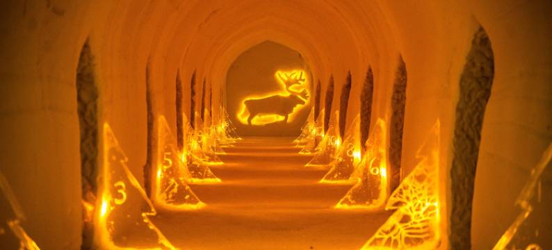 索利斯尼瓦伊戈鲁酒店(Sorrisniva Igloo Hotel)图片