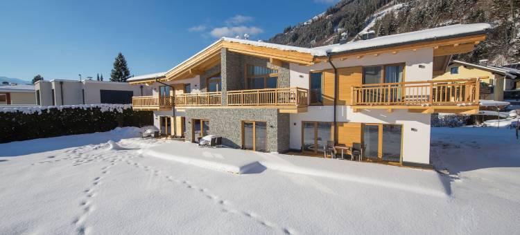 阿尔潘公园阿雷特快捷木屋及公寓酒店(AlpenParks Chalet & Apartment AreitXpress)图片