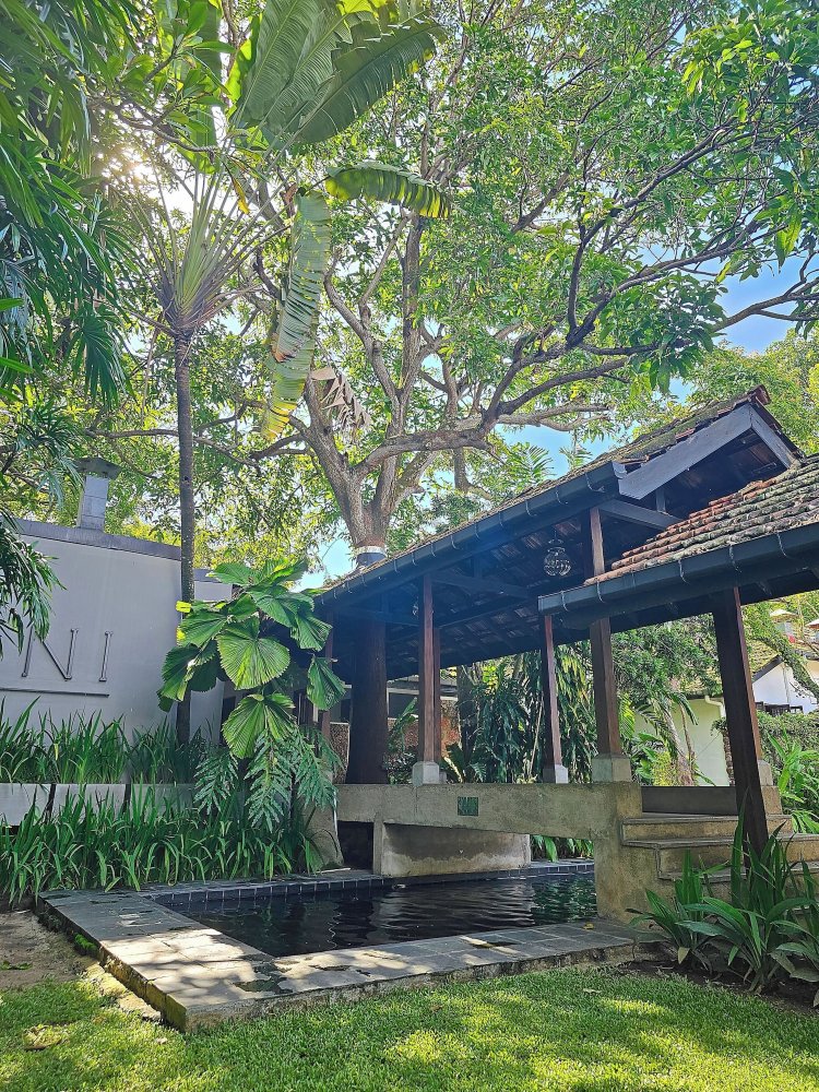 Havelock Place Bungalow Over view