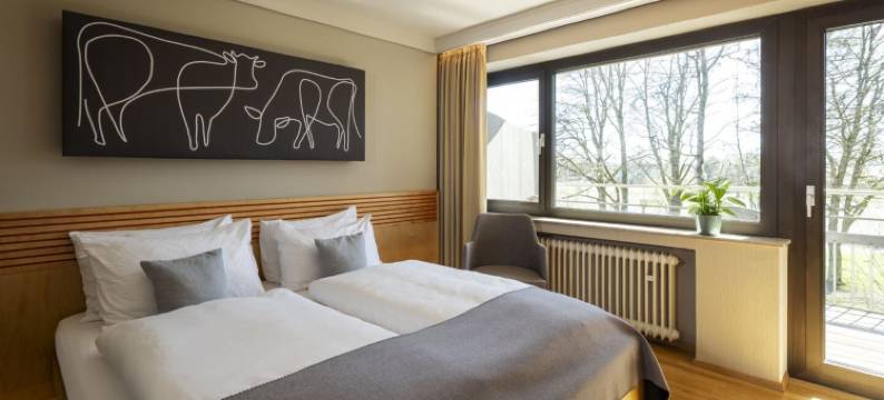 阿尔高旺根主法酒店(JUFA Hotel Wangen im Allgäu)图片