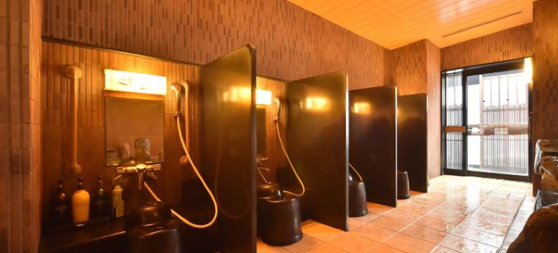 北海道苫小牧多美迎天然温泉酒店(多美迎・御宿野乃 酒店集团)(Dormy Inn Tomakomai Natural Hot Spring)图片