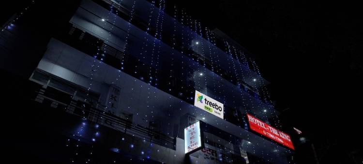 Treebo 莫哈里国王酒店(Treebo the King Mohali)图片