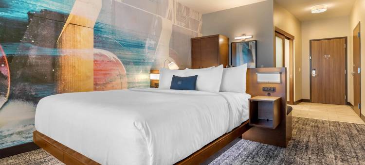 达文波特阔德城坎布里亚酒店(Cambria Hotel Davenport Quad Cities)图片