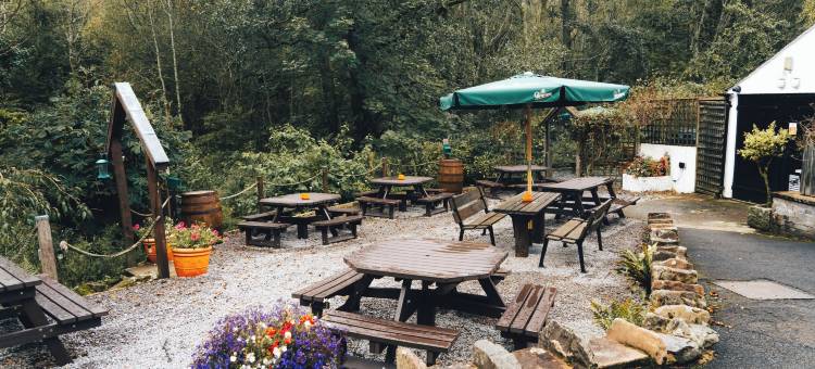 雉鸡客栈 - The Inn Collection Group(The Pheasant Inn - the Inn Collection Group)图片