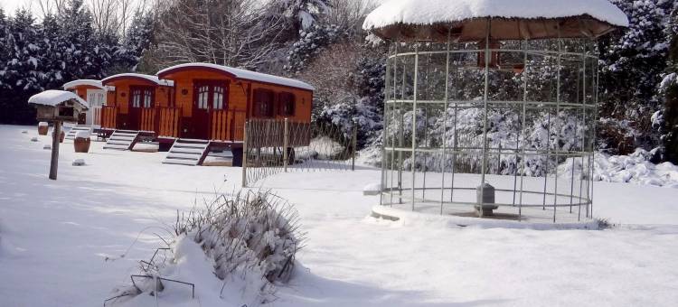 罗莱酒店(Logis Hôtel-Restaurant le Relais)图片