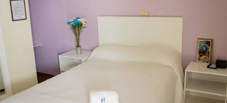 帝国酒店(Hotel Imperial)图片