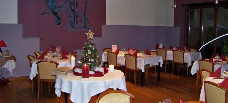 弗肯酒店(Le Falken)图片