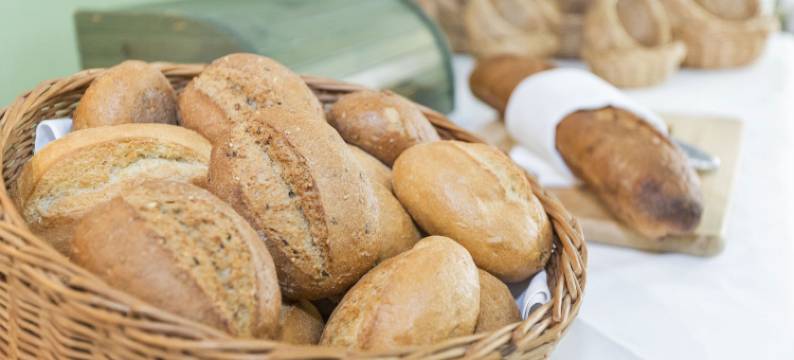 斯普里 - 科特布斯沃德酒店(Spree - Waldhotel Cottbus)图片