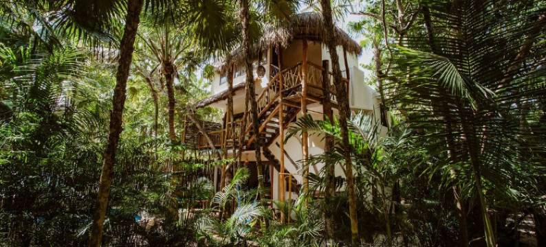 曼陀罗民宿(Casa Mandala)图片