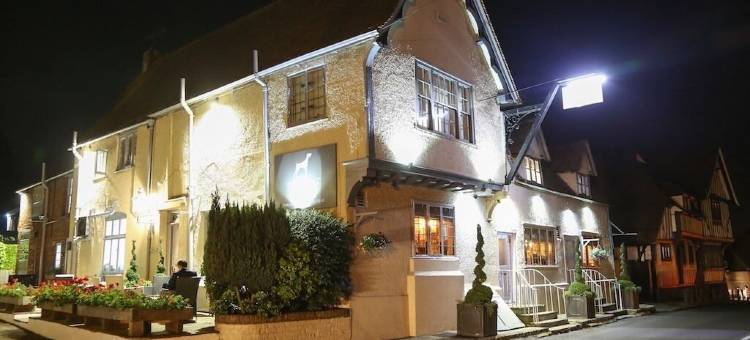 温甘狗狗酒店(The Dog at Wingham)图片