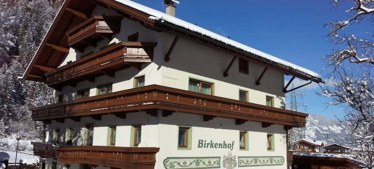 比尔肯霍夫旅馆(Hotel Garni Birkenhof)图片
