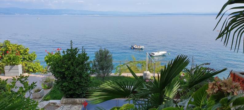 克莱纳别墅(Villa Kleiner)图片