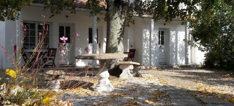 马诺尔安缇奎特酒店(Le Manoir de l'antiquité)图片