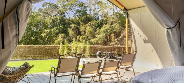 山上种树牛樟森林休闲农场图片