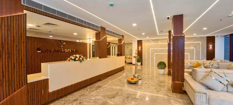 Serene Horizon图片