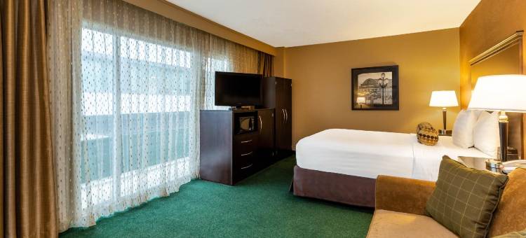 西雅图市区拉昆塔温德姆套房酒店(La Quinta Inn & Suites by Wyndham Seattle Downtown)图片