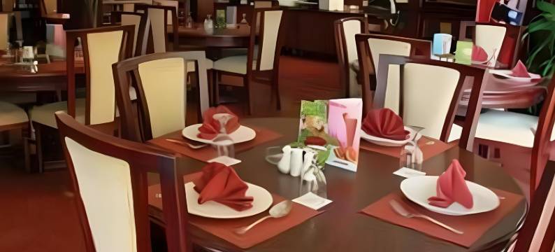 帕尔代德国际酒店(Pardede International Hotel)图片