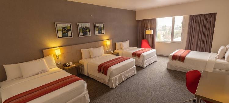 BTH Rebel塔克纳(Park Inn by Radisson Tacna)图片