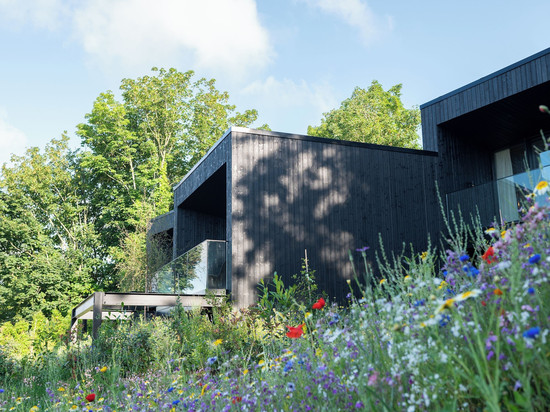 蒙特诺特的林间套房