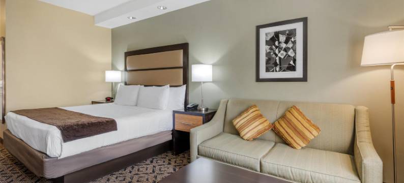 大学公园市贝斯特韦斯特优质酒店(Best Western Plus College Park Hotel)图片