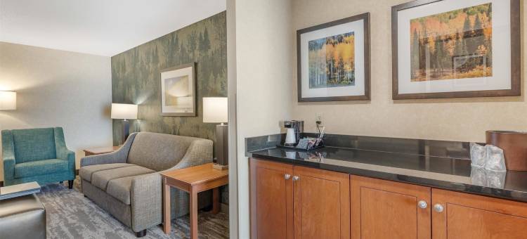 丹佛中央公园德鲁里套房酒店(Drury Plaza Hotel Denver Central Park)图片