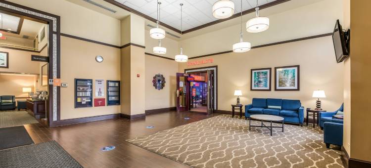 芝加哥奥黑尔机场舒适套房酒店(Comfort Suites Chicago O'Hare Airport)图片