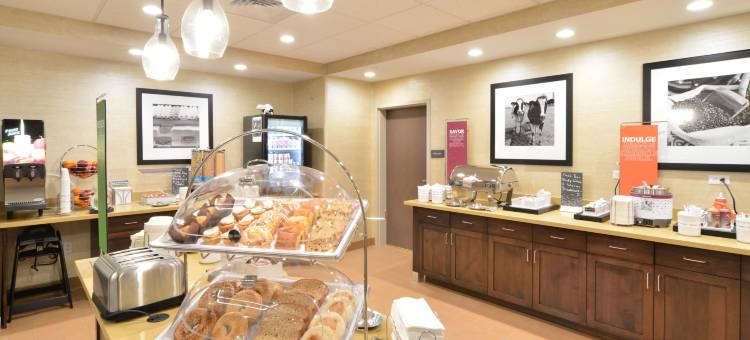 梅诺莫尼欢朋套房酒店(Hampton Inn & Suites Menomonie)图片