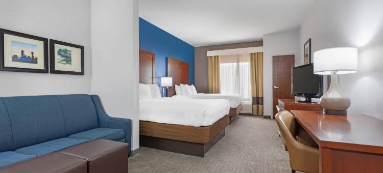 舒适套房酒店-DFW N/葡萄藤(Comfort Suites DFW N-Grapevine)图片
