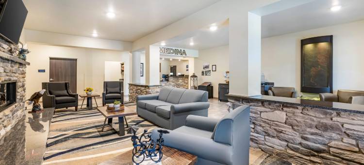 舒适酒店及套房梅迪纳纽约靠近伊利运河(Comfort Inn & Suites Medina NY Near Erie Canal)图片